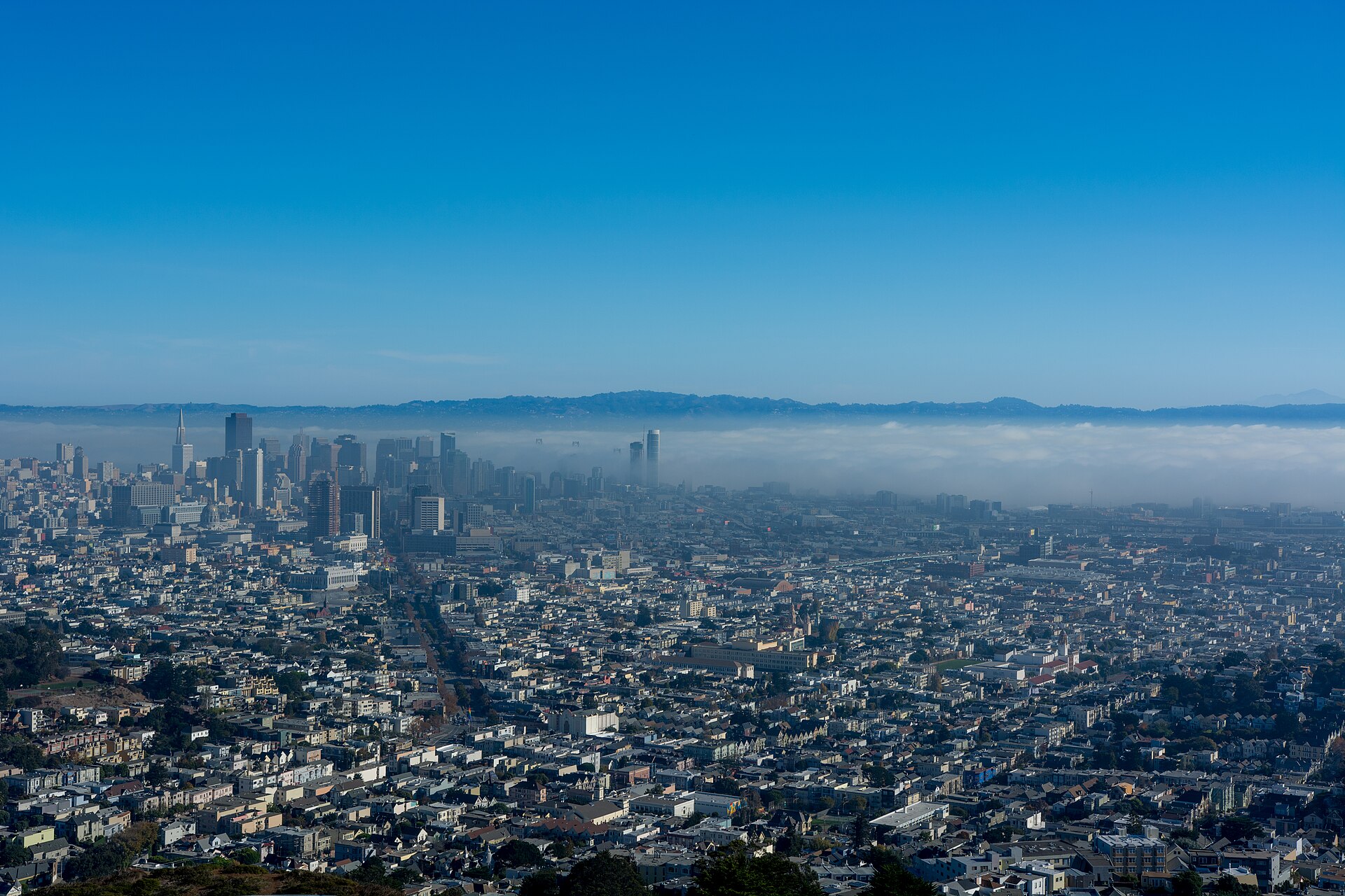 A summer afternoon when the marine layer sat on the Bay and the hills stayed in the sun.