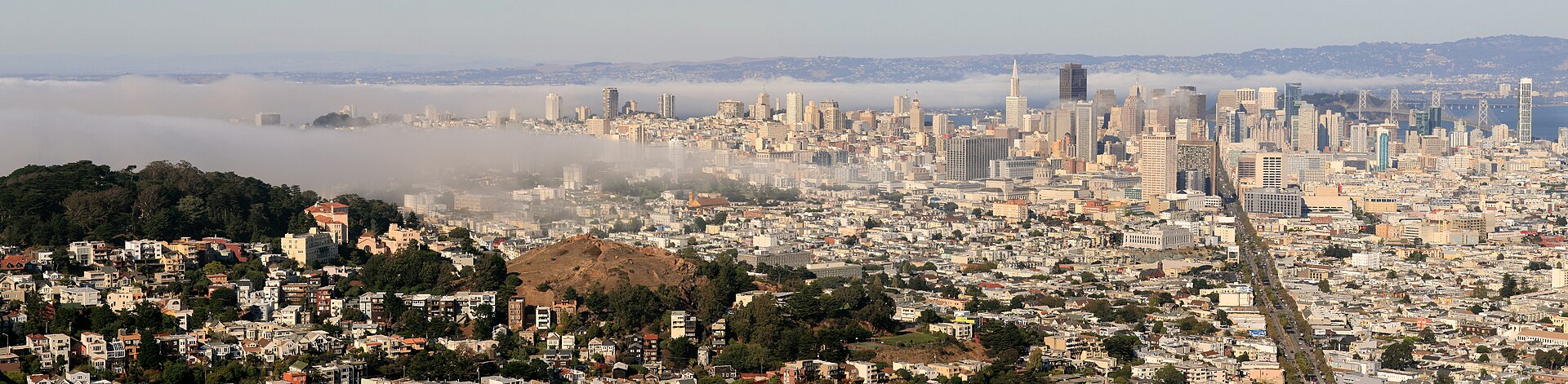 San Francisco from the hills with marine fog covering the Bay
